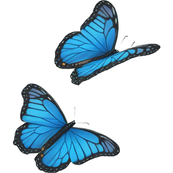 Blue monarch butterfly