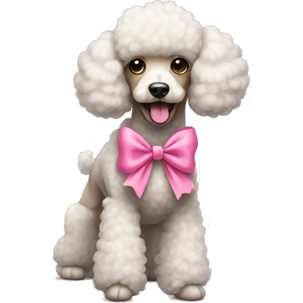 Poodle with a pink bow