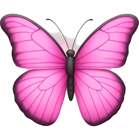 Pink butterfly