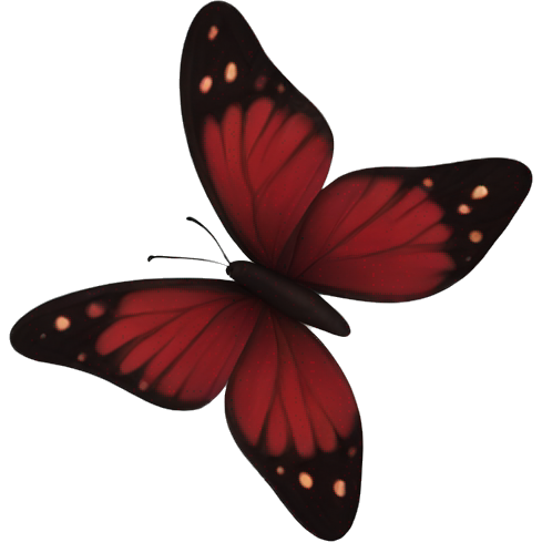 Dark red butterfly