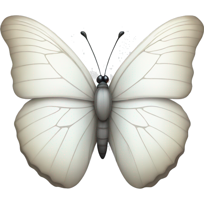 White butterfly