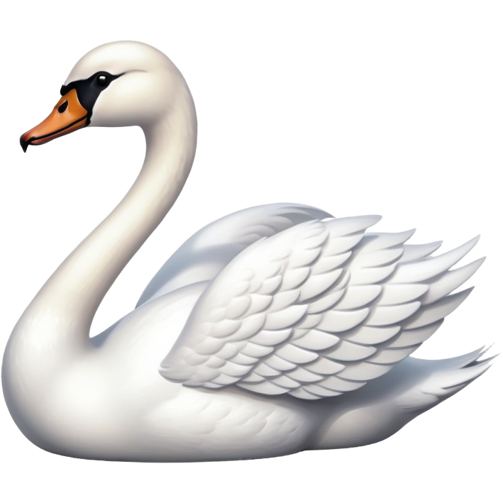 Swan